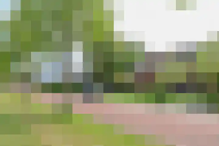 Skoalledyk 34 Hempens thumbnail 75