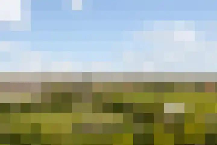 Skoalledyk 34 Hempens thumbnail 77