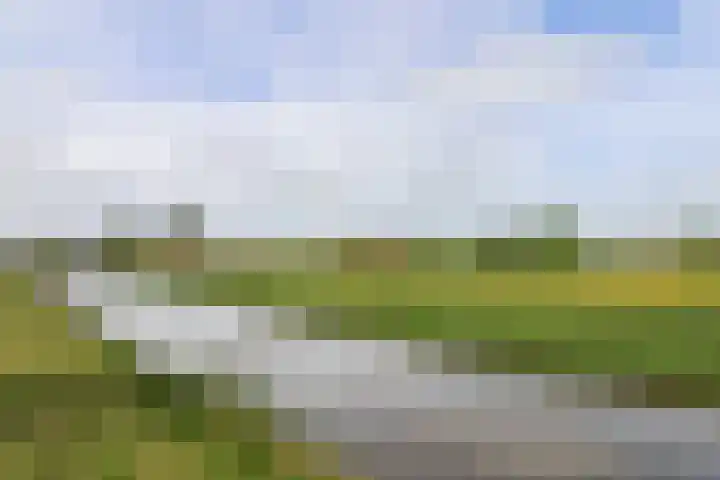 Skoalledyk 34 Hempens thumbnail 79