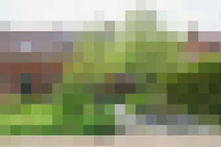 Skoalledyk 34 Hempens thumbnail 9