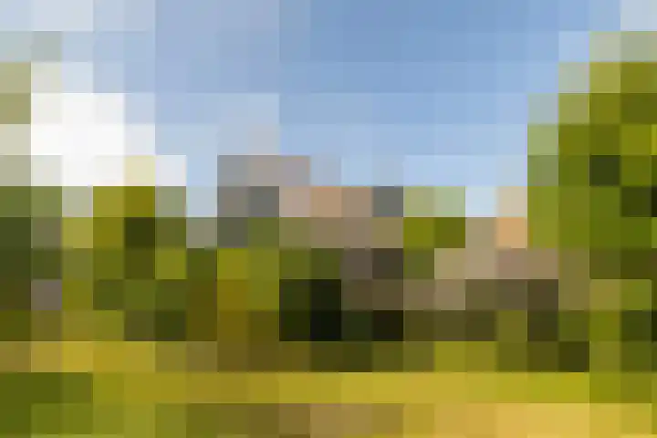 Skoallereed 1 Moddergat thumbnail 13