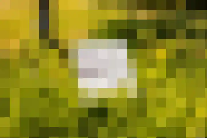 Skoallereed 1 Moddergat thumbnail 14