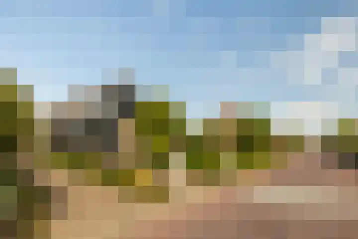 Skoallereed 1 Moddergat thumbnail 18
