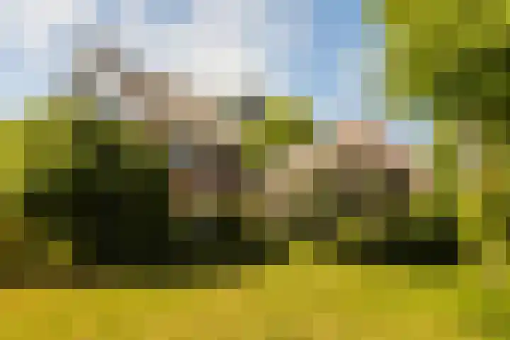Skoallereed 1 Moddergat thumbnail 19