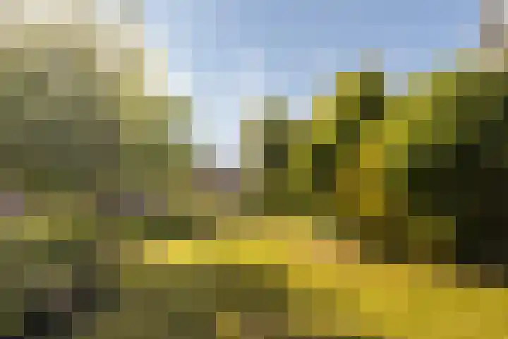 Skoallereed 1 Moddergat thumbnail 20