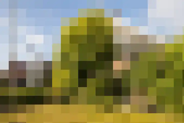 Skoallereed 1 Moddergat thumbnail 21