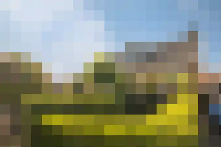 Skoallereed 1 Moddergat thumbnail 23
