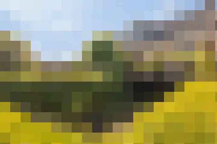 Skoallereed 1 Moddergat thumbnail 24