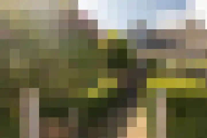 Skoallereed 1 Moddergat thumbnail 25