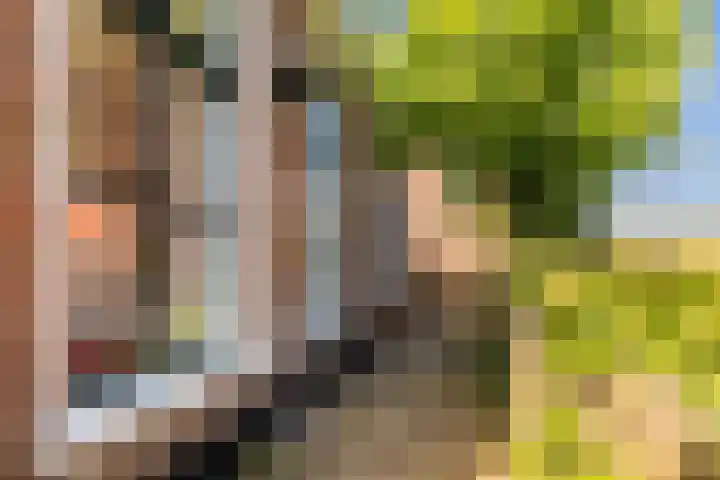 Skoallereed 1 Moddergat thumbnail 33