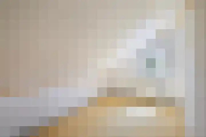 Skoallereed 1 Moddergat thumbnail 56