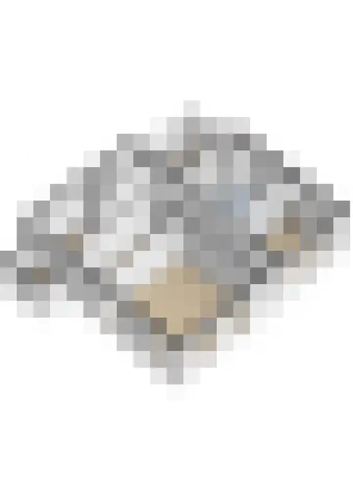 Skoallereed 1 Moddergat thumbnail 66