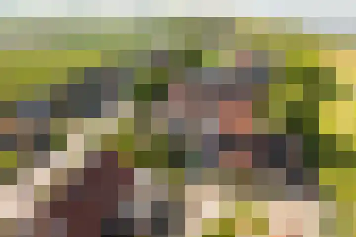 Skoallereed 1 Moddergat thumbnail 7