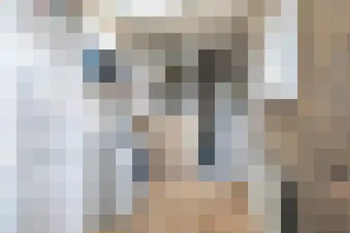 Skoalstrjitte 18 Minnertsga thumbnail 14