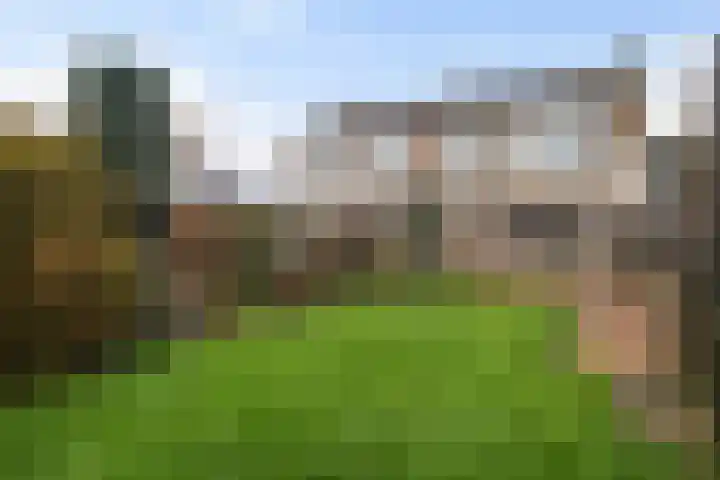 Skoalstrjitte 18 Minnertsga thumbnail 29