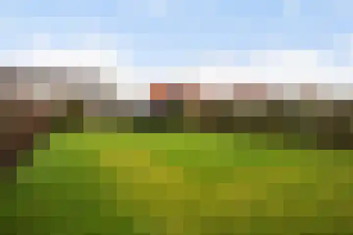Skoalstrjitte 18 Minnertsga thumbnail 31