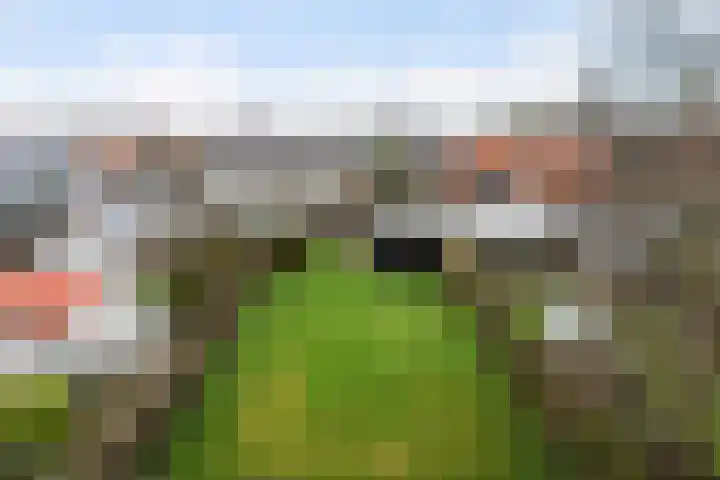 Skoalstrjitte 18 Minnertsga thumbnail 32