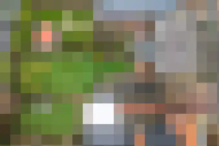Skoalstrjitte 18 Minnertsga thumbnail 35