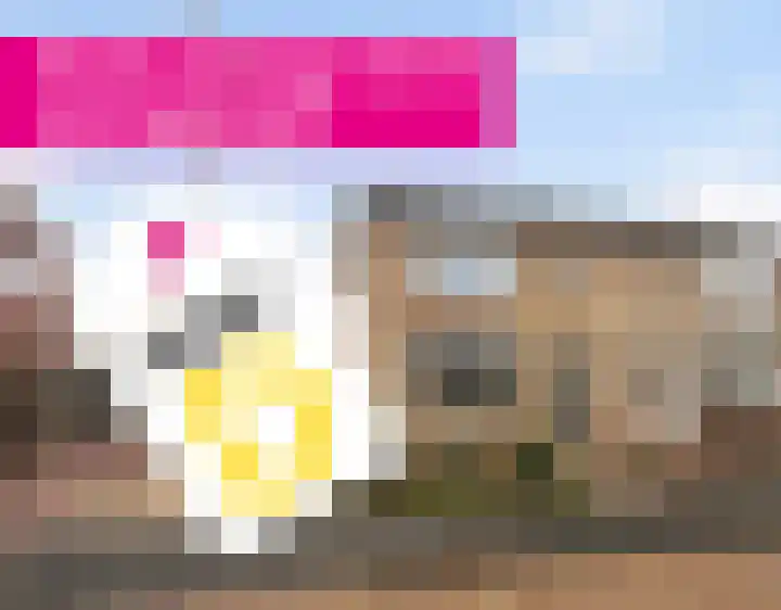 Skoalstrjitte 18 Minnertsga thumbnail 36