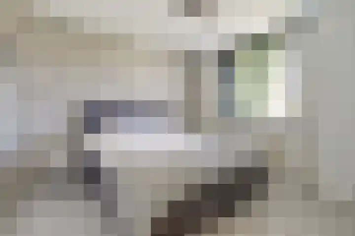 Skönvik 17 Leerdam thumbnail 22