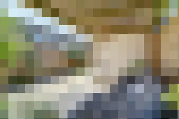 Skönvik 17 Leerdam thumbnail 41