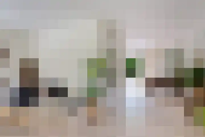 Skou 23 Joure thumbnail 10
