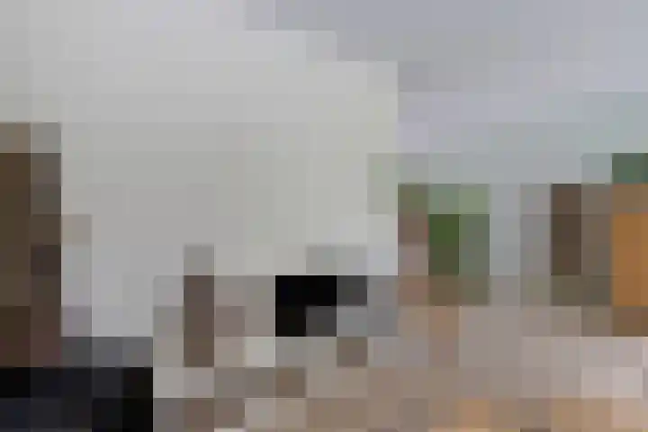Skou 23 Joure thumbnail 13