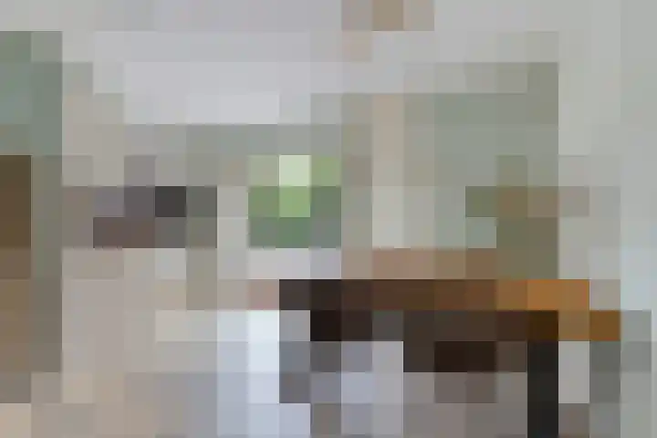 Skou 23 Joure thumbnail 15