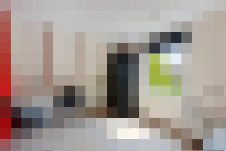Skou 23 Joure thumbnail 25