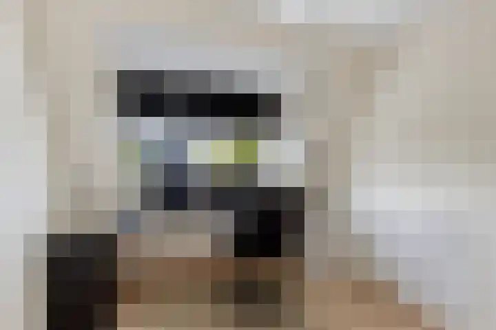 Skou 23 Joure thumbnail 29