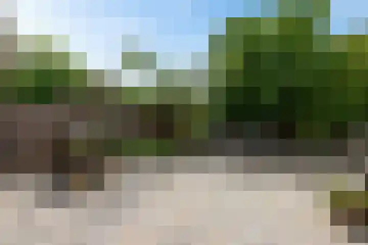 Skou 23 Joure thumbnail 35