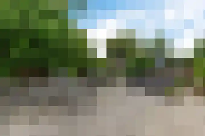 Skou 23 Joure thumbnail 36