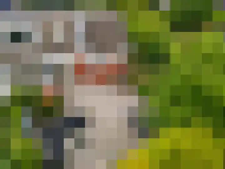 Skou 23 Joure thumbnail 38