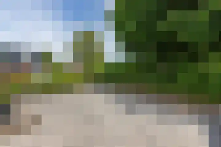 Skou 23 Joure thumbnail 41