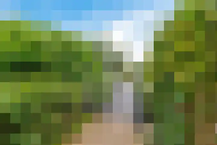 Skou 23 Joure thumbnail 43