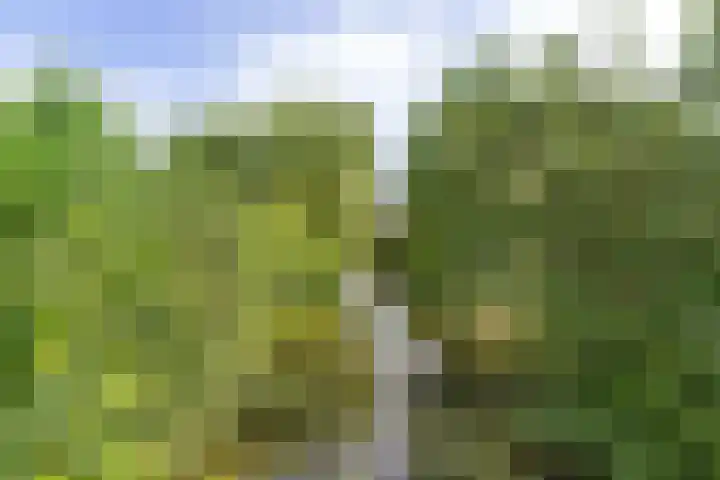 Skou 23 Joure thumbnail 44