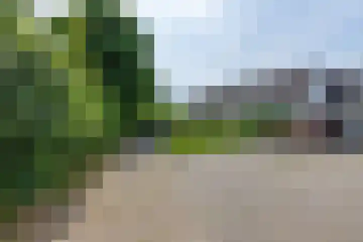 Skou 23 Joure thumbnail 5