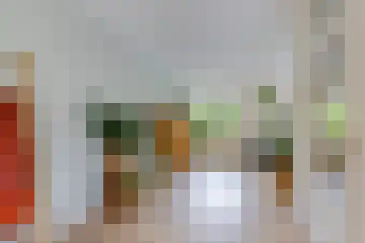 Skou 23 Joure thumbnail 9