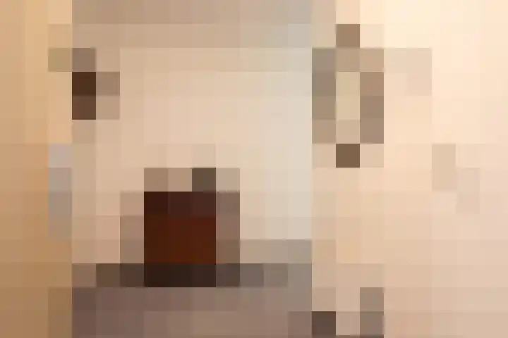 Skries 19 D Dronryp thumbnail 14