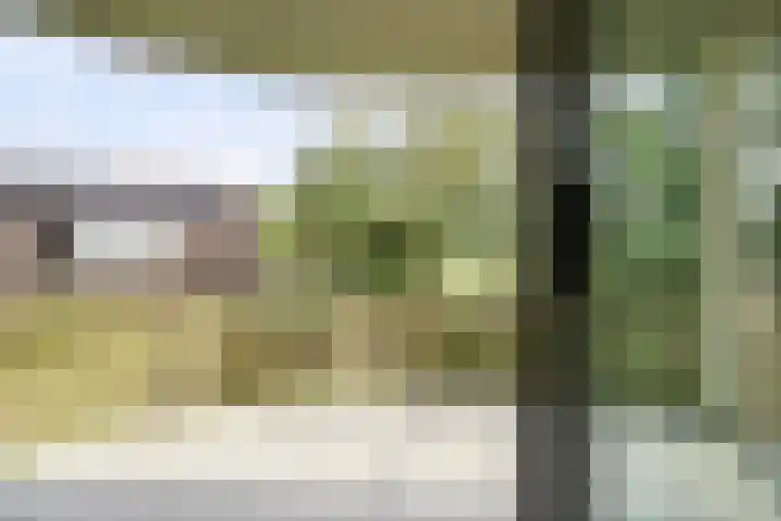 Skries 19 D Dronryp thumbnail 21