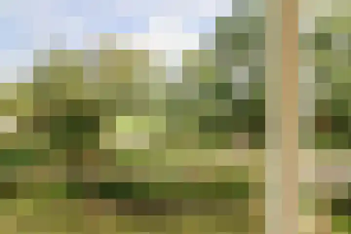 Skries 19 D Dronryp thumbnail 23