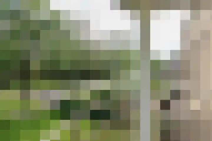 Skries 19 D Dronryp thumbnail 24
