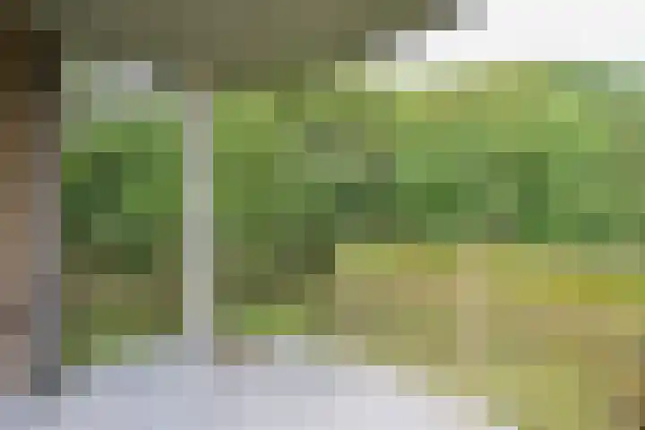 Skries 19 D Dronryp thumbnail 25