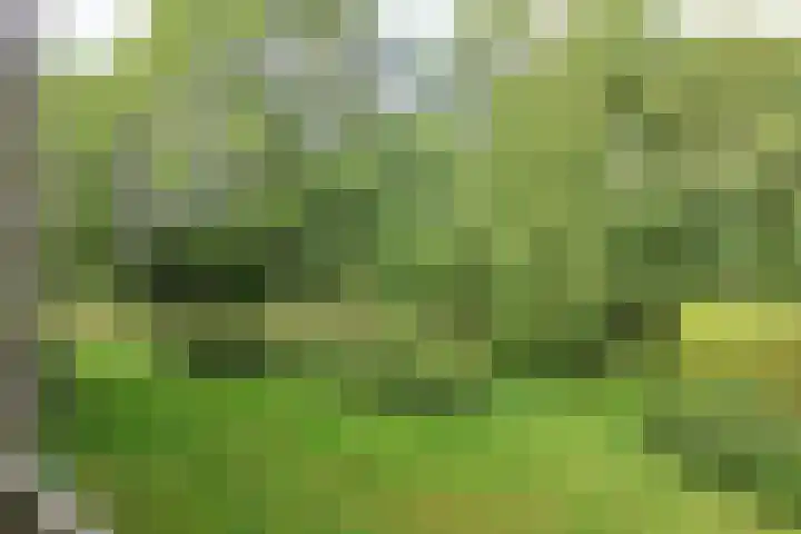 Skries 19 D Dronryp thumbnail 26