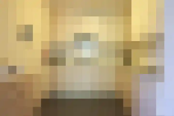 Skries 19 D Dronryp thumbnail 34