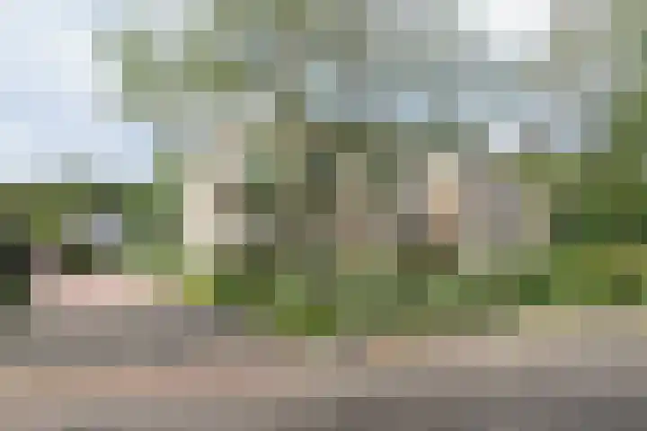 Skries 19 D Dronryp thumbnail 49