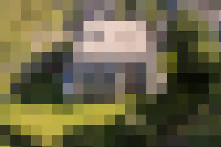 Skries 19 D Dronryp thumbnail 55