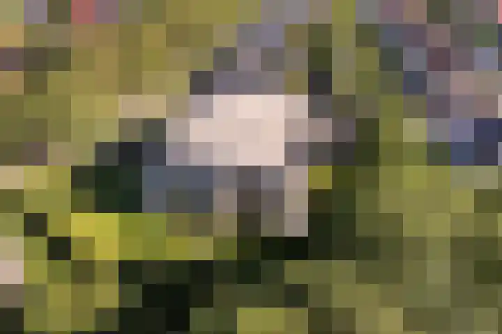 Skries 19 D Dronryp thumbnail 56