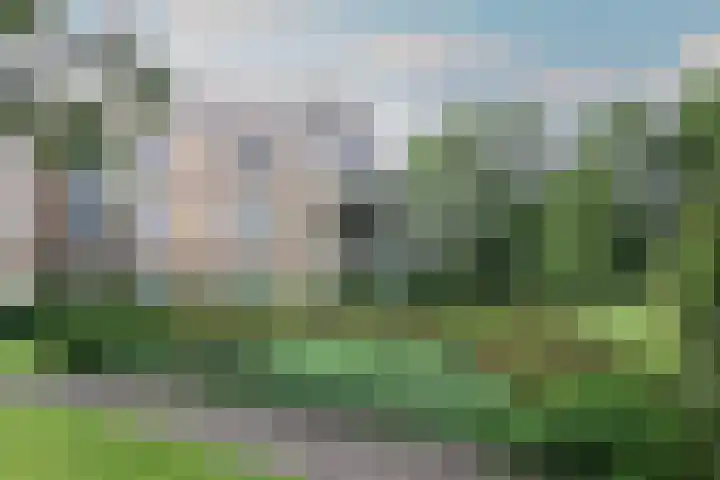 Skries 19 D Dronryp thumbnail 6
