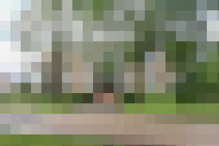 Skries 19 D Dronryp thumbnail 7